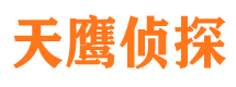 曲麻莱私人侦探